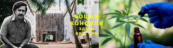 молекула духа Зеленодольск