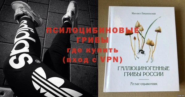 молекула духа Зеленодольск