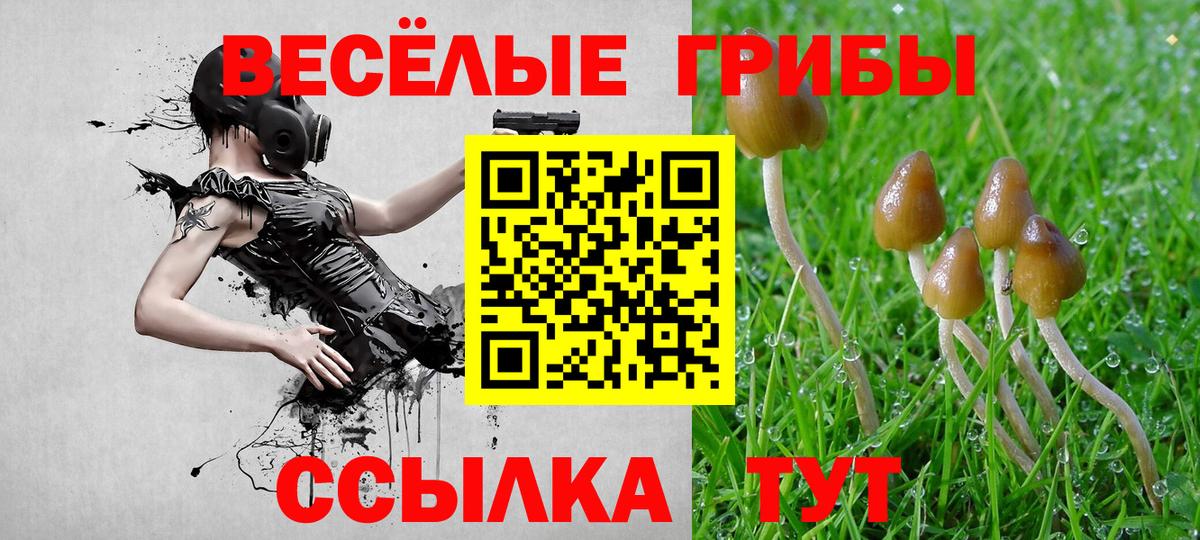 Медногорск  Галлюциногенные грибы Cubensis  Вход с VPN  Псилоцибиновые грибы Psilocybe 